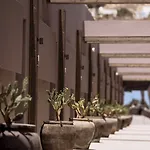 Ethereum Mykonos 酒店 普沙罗